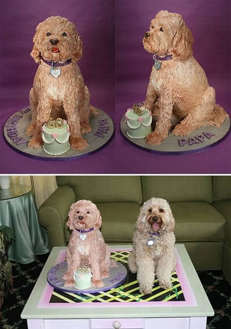 amazing dog shaped cakes 06 Dog Cakes