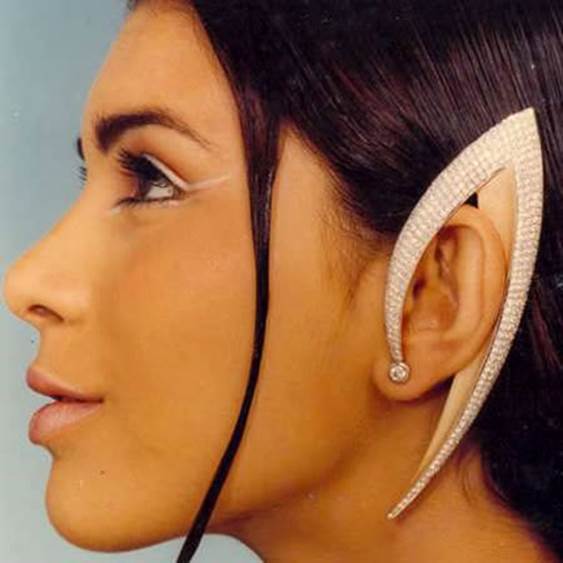 http://www.funny-potato.com/images/art/funny-earrings/weird-earrings.jpg