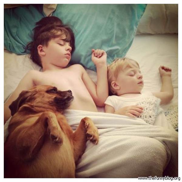 http://www.thefunnyblog.org/wp-content/uploads/2012/09/kids-sleeping-with-doggie-funny-photo.jpg