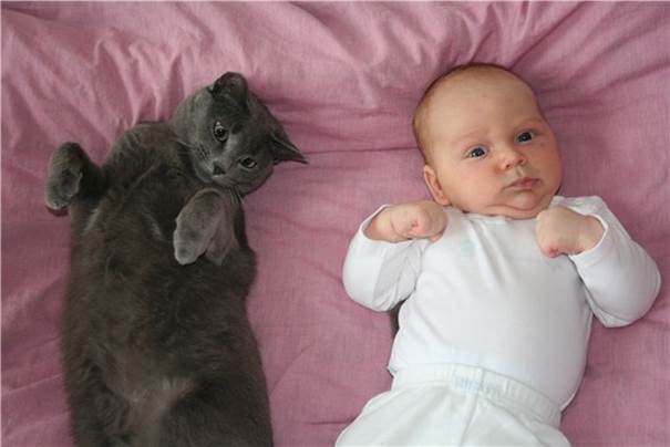 http://www.fun92.com/wallpapers/wp-content/uploads/funny-picture-of-cat-sleeping-with-a-kid.jpg