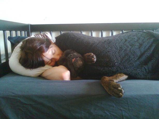 http://upload.wikimedia.org/wikipedia/commons/4/4b/Human_sleeping_on_a_bed_with_a_dog.jpg
