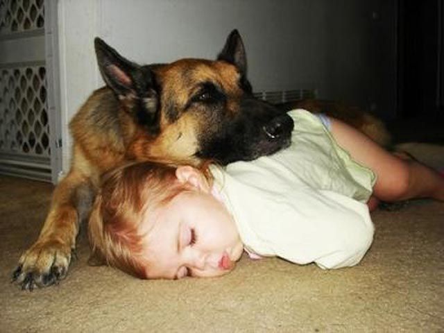 http://xaxor.com/images/Funny-sleeping-pics-pets-people/Funny-sleeping-pics-pets-people12.jpg