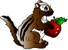 squirrel with nut animation