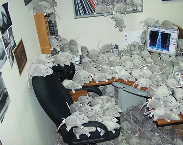 awesome office cube pranks 15 Funny office pranks