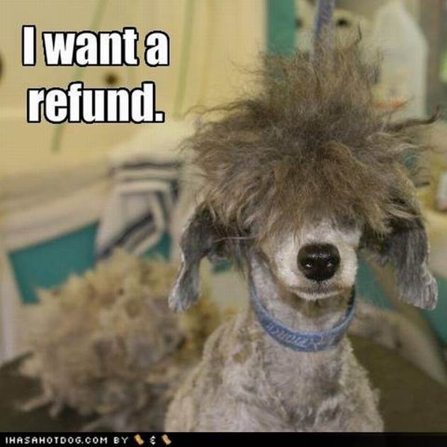 worst dog haircuts 25 Funny: Worst haircuts of dogs