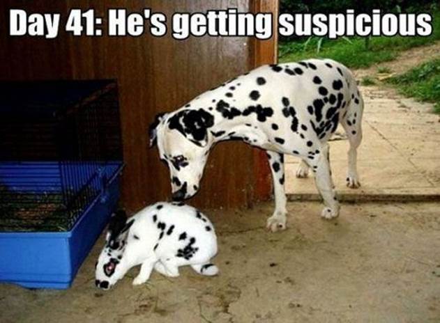 hilarious pics with captions part6 6 Funny: Hilarious pics with captions {Part 6}