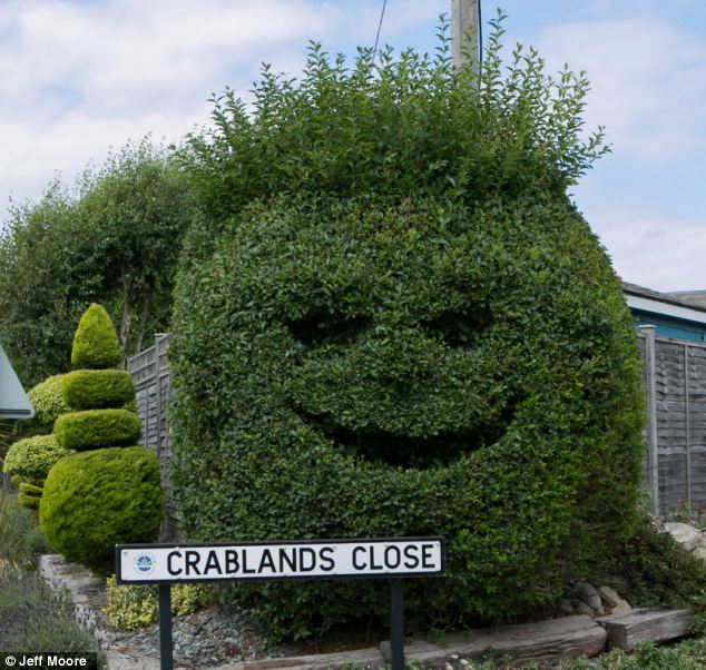 http://news.gardentoolbox.co.uk/wp-content/uploads/2013/08/thumbs-up-hedge.jpg