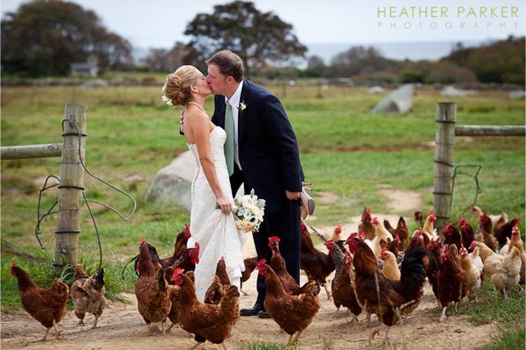 http://heatherparker.com/blog/wp-content/uploads/2012/01/allen-farm-wedding-photographer.jpg