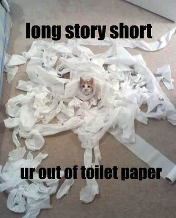 http://2.bp.blogspot.com/-8HkhoauKZe4/UH57Q3hcsdI/AAAAAAAAB9s/i82NpP8MVSw/s1600/funny-cat-playing-toilet-paper-mess.jpg