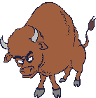 Bull animal graphics
