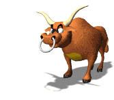 Bull animal graphics