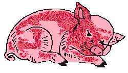  glitter saddleback  pig animation