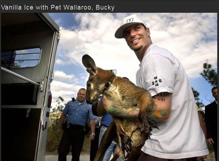 Celebs exotic pets12 Funny: Celebs with exotic pets