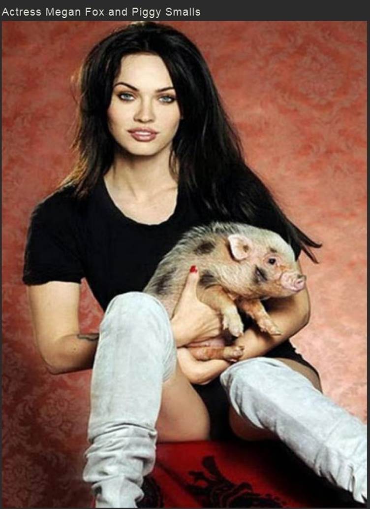 Celebs exotic pets18 Funny: Celebs with exotic pets