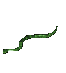  green slider snake  animation
