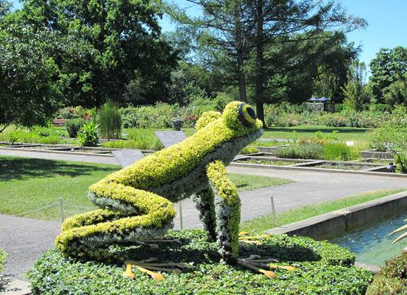 http://forgetfoundation.org/wp-content/uploads/2013/08/frog-mosaicultures-internationales-montreal-botaical-gardens-2013.jpg