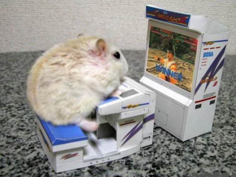 http://oddanimals.com/images/mouse-video-game.jpg