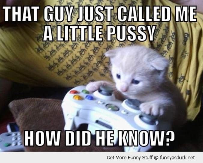 http://funnyasduck.net/wp-content/uploads/2012/11/funny-kitten-playing-video-games-xbox.jpg