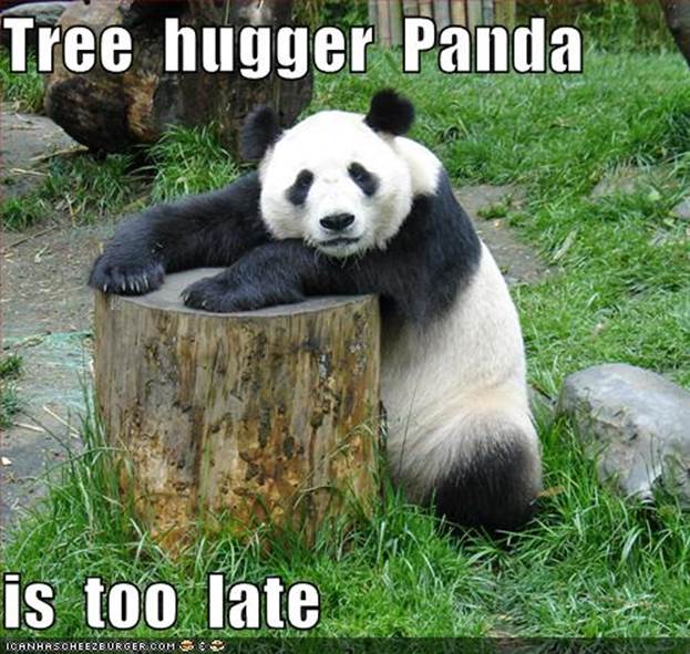 http://funnymill.com/wp-content/uploads/2011/01/Funny-Mill-Funny-Panda-Collection-pic-6.jpg