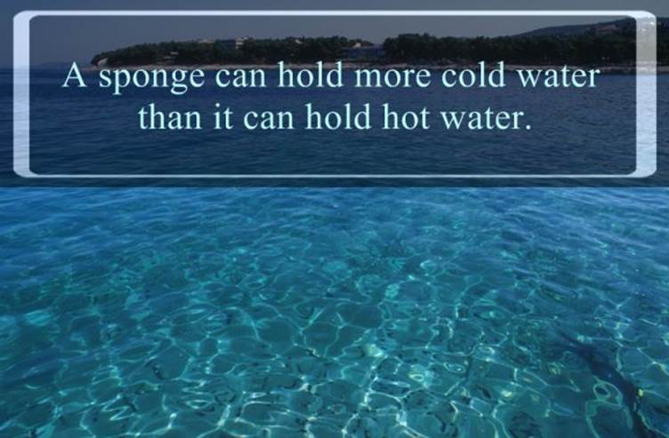Interesting water facts15 Funny: Interesting water facts