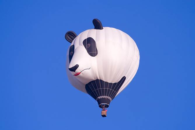 http://www.ratestogo.com/blog/wp-content/uploads/2007/12/panda-balloon.jpg