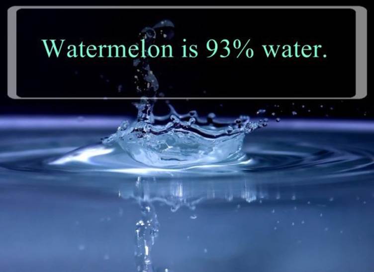 Interesting water facts20 Funny: Interesting water facts