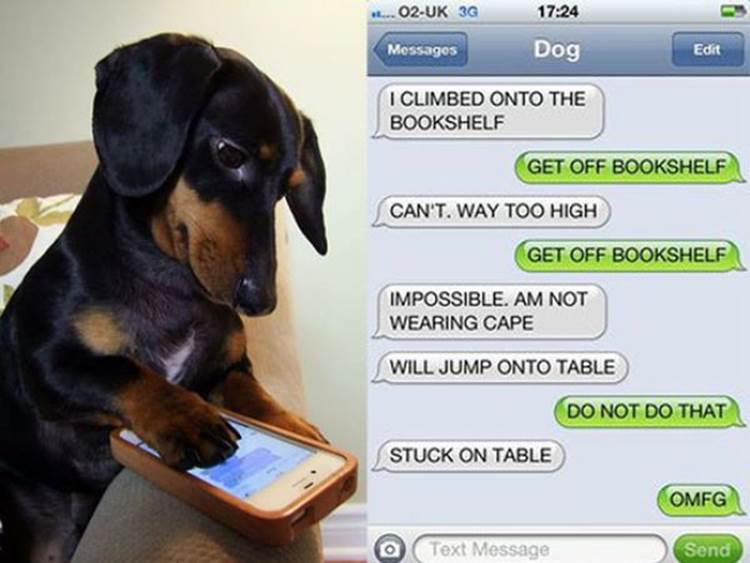 dog owner text messages part3 11 Funny: Dog & owner text messages {Part 3}