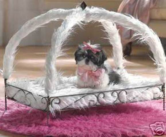 http://www.swankpets.com/images/CanopyDogBed.jpg
