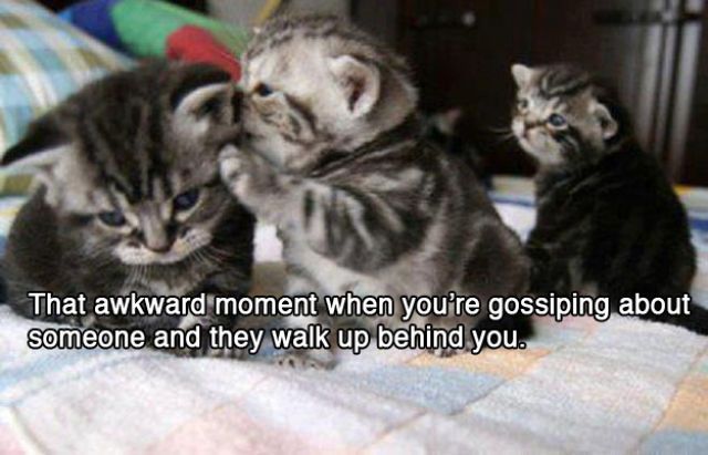 That awkward moment when5 Funny: That awkward moment when...