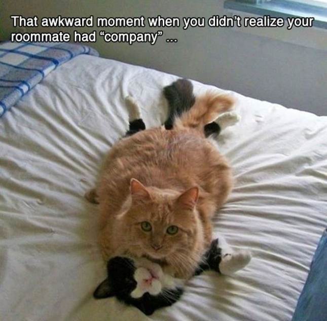 That awkward moment when3 Funny: That awkward moment when...