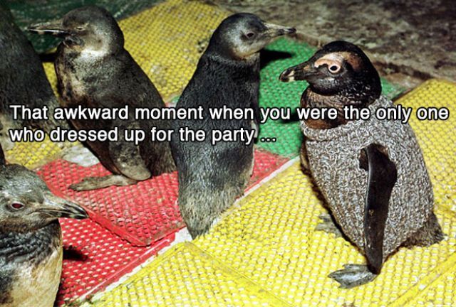 That awkward moment when15 Funny: That awkward moment when...