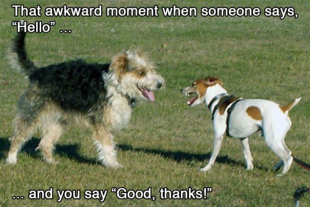That awkward moment when14 Funny: That awkward moment when...