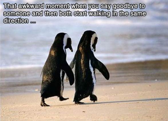 That awkward moment when13 Funny: That awkward moment when...