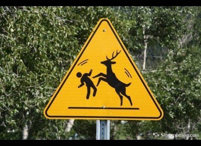http://buzfairy.com/wp-content/uploads/2010/09/funny-animal-cross-signs.jpg