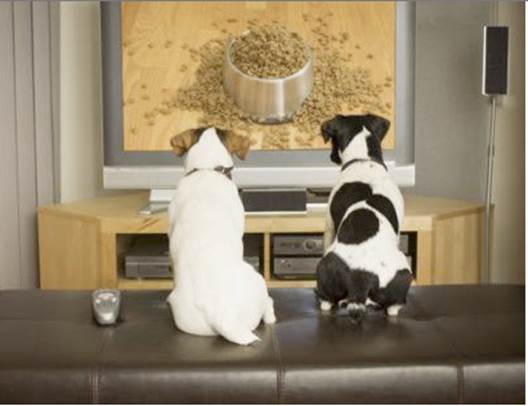 http://sciencemadefun.net/blog/wp-content/uploads/2011/10/dogs-watching-TV.png