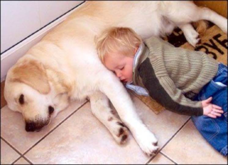 http://funny-pics.co/wp-content/uploads/funny-kids-and-pets-image-090-445x321.jpg