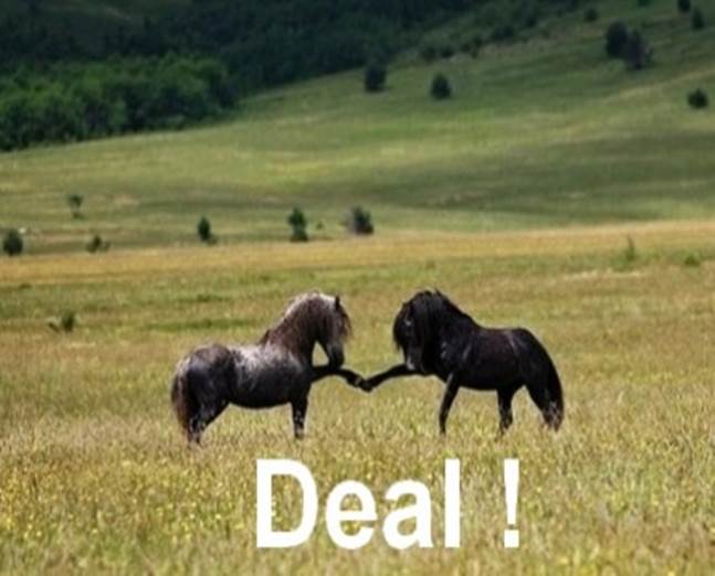 http://funny-pics.co/wp-content/uploads/funny-horses-making-a-deal-445x299.jpg