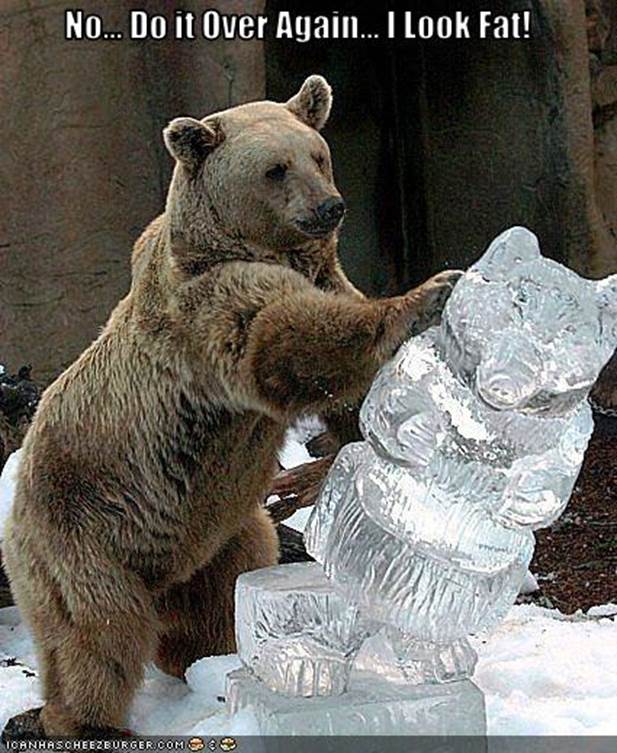 http://ohbriggsy.files.wordpress.com/2011/01/funny-pictures-bear-dislikes-ice-sculpture.jpg