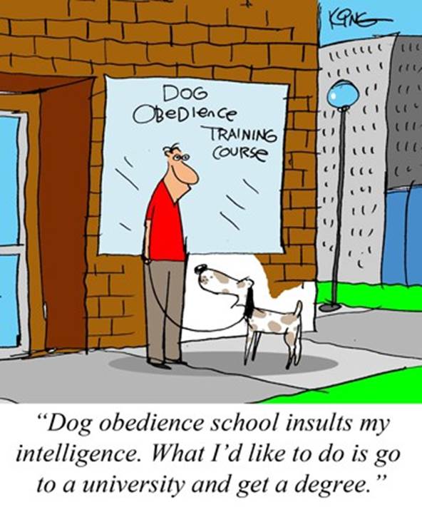 http://www.scotiapridetollers.com/assets/dog-needs-training-cartoon.jpg