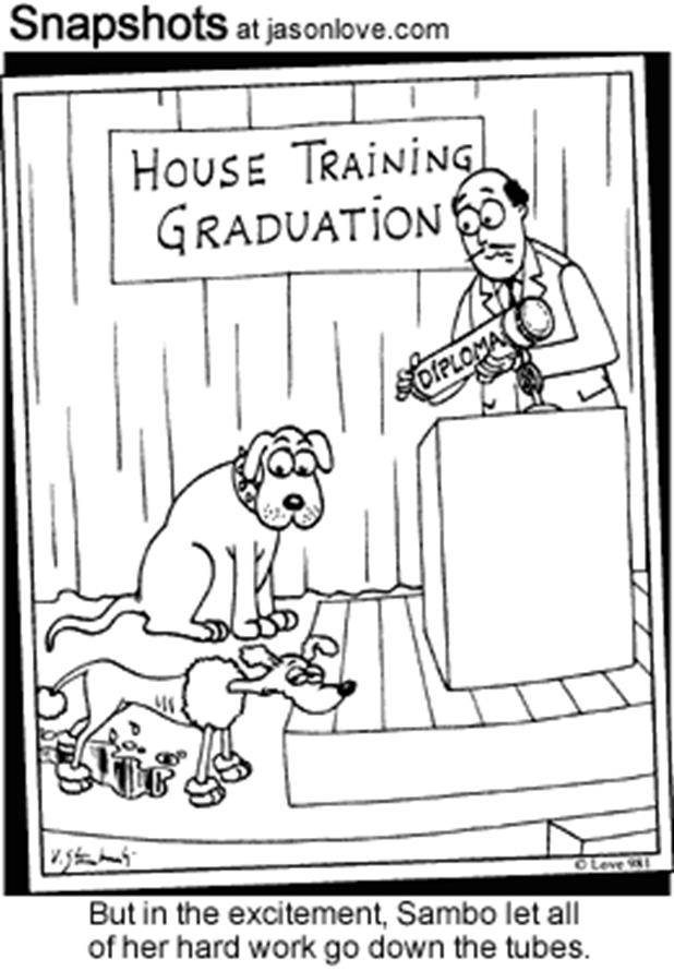 http://www.jasonlove.com/cartoons/00243-funny-cartoons-dog-training.gif