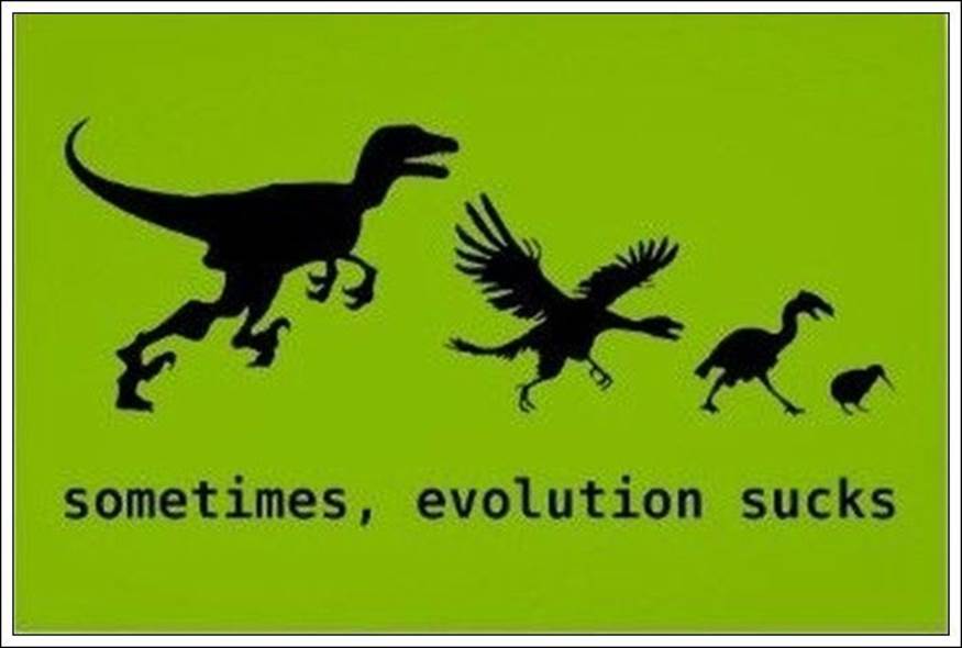 Evolution gone wrong6 Funny: Evolution gone wrong