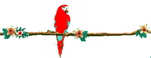 2 macaws animation