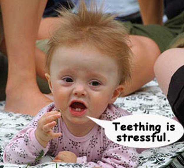 http://www.babymagz.com/images/funny-baby-images-pictures-comments-graphics-scraps-for-facebookgoogle-25592.jpg