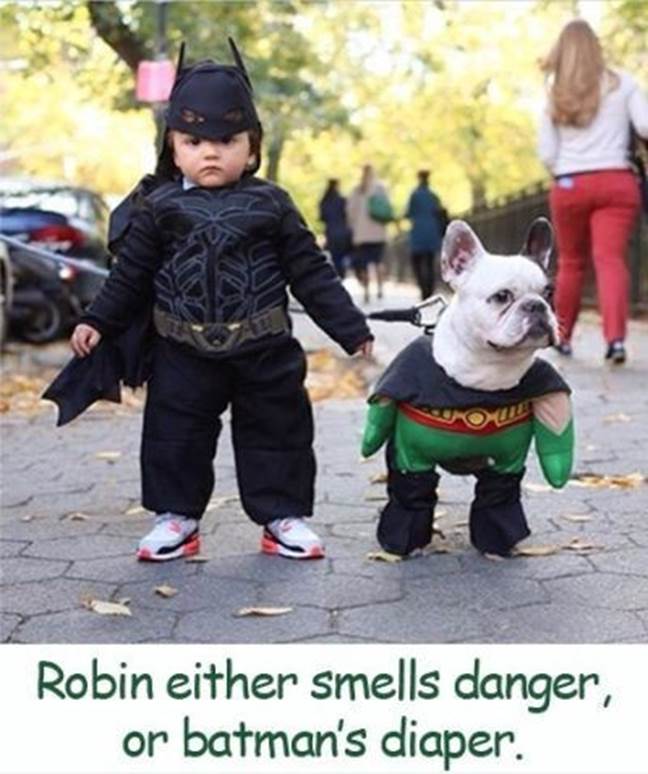 http://www.funniestmemes.com/wp-content/uploads/Funniest_Memes_robin-either-smells-danger-or-batman-s-diaper_19046.jpeg