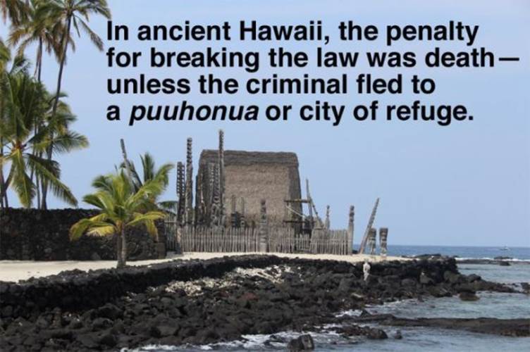 Funny Hawaii facts7 Funny Hawaii facts