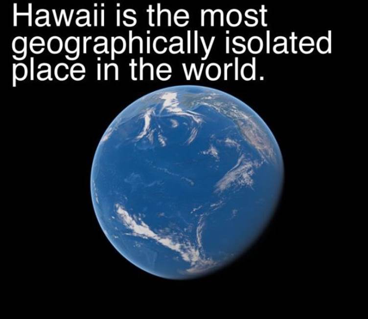 Funny Hawaii facts17 Funny Hawaii facts