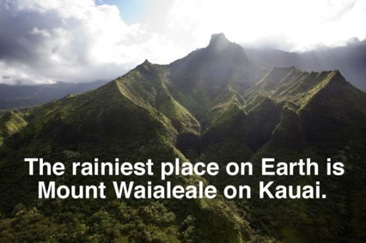 Funny Hawaii facts18 Funny Hawaii facts