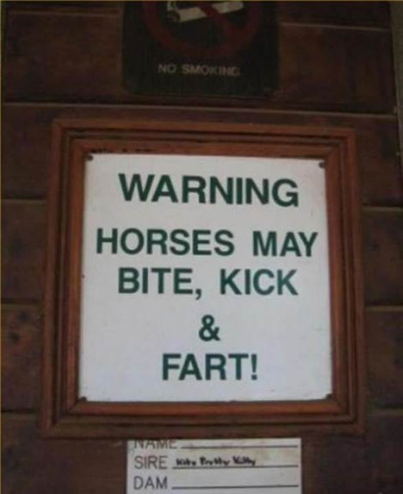 http://www.maniacworld.com/strange-horse-warning-sign.jpg