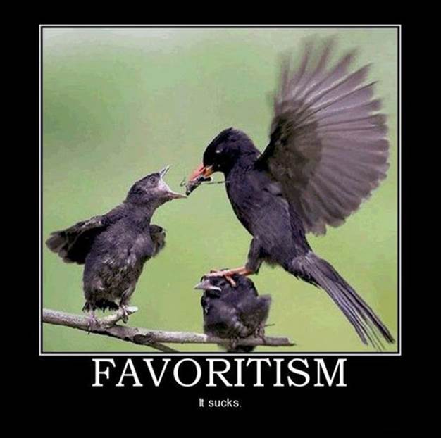 http://www.amusingtime.com/images/03/funny-birds-favoritism-poster.jpg