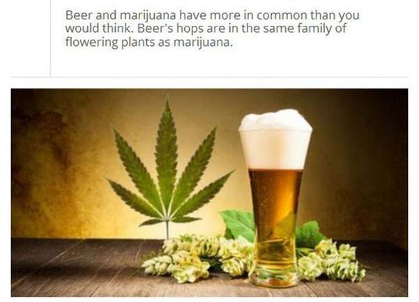 Beer facts9 Funny: Beer facts